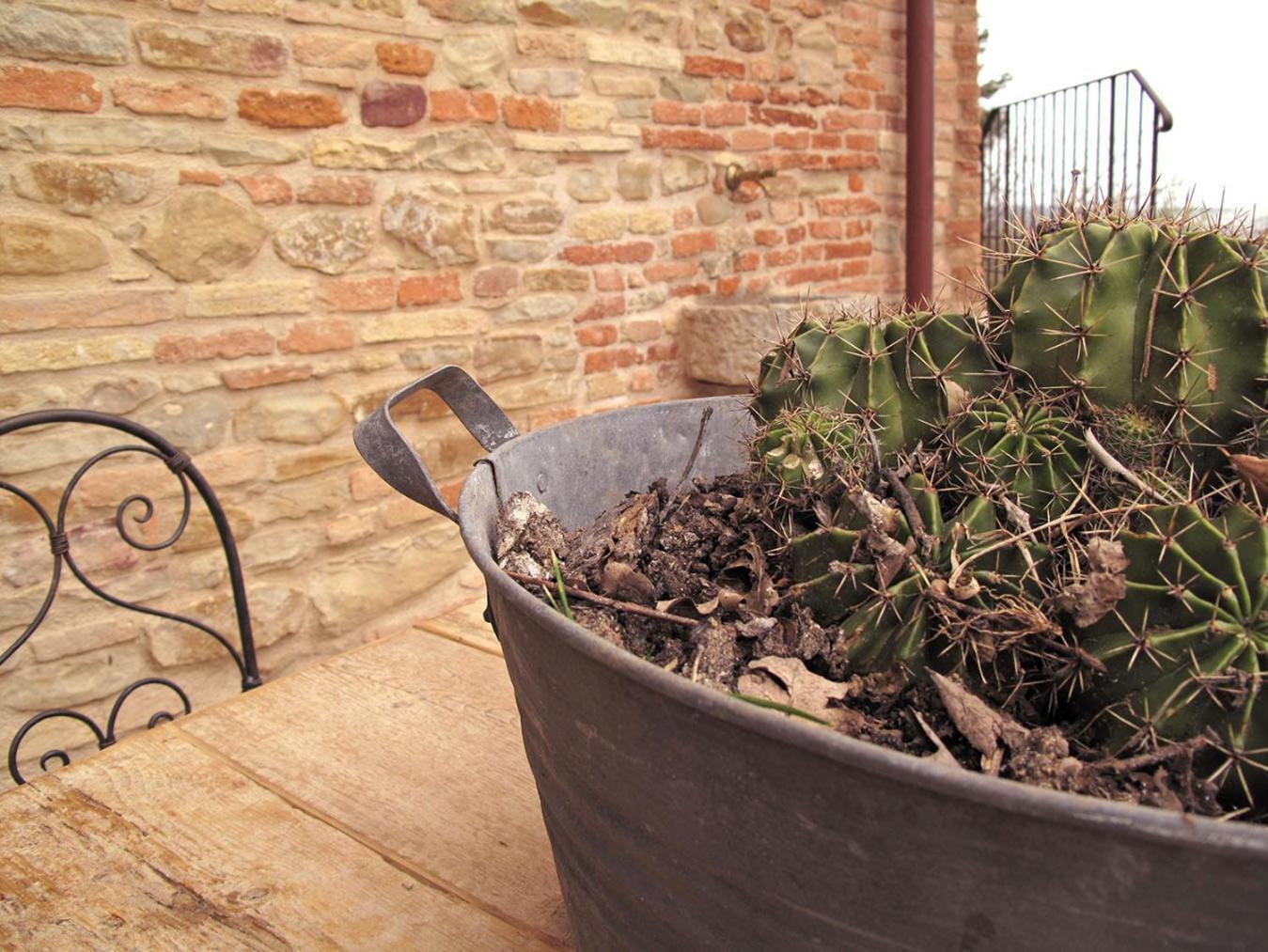 Castello Di Granarola Relais - Adults Friendly - Leilighet Gradara Eksteriør bilde